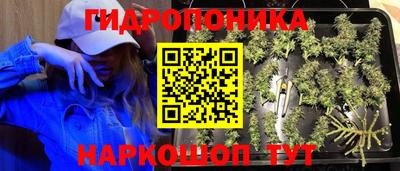 наркотики Краснодар